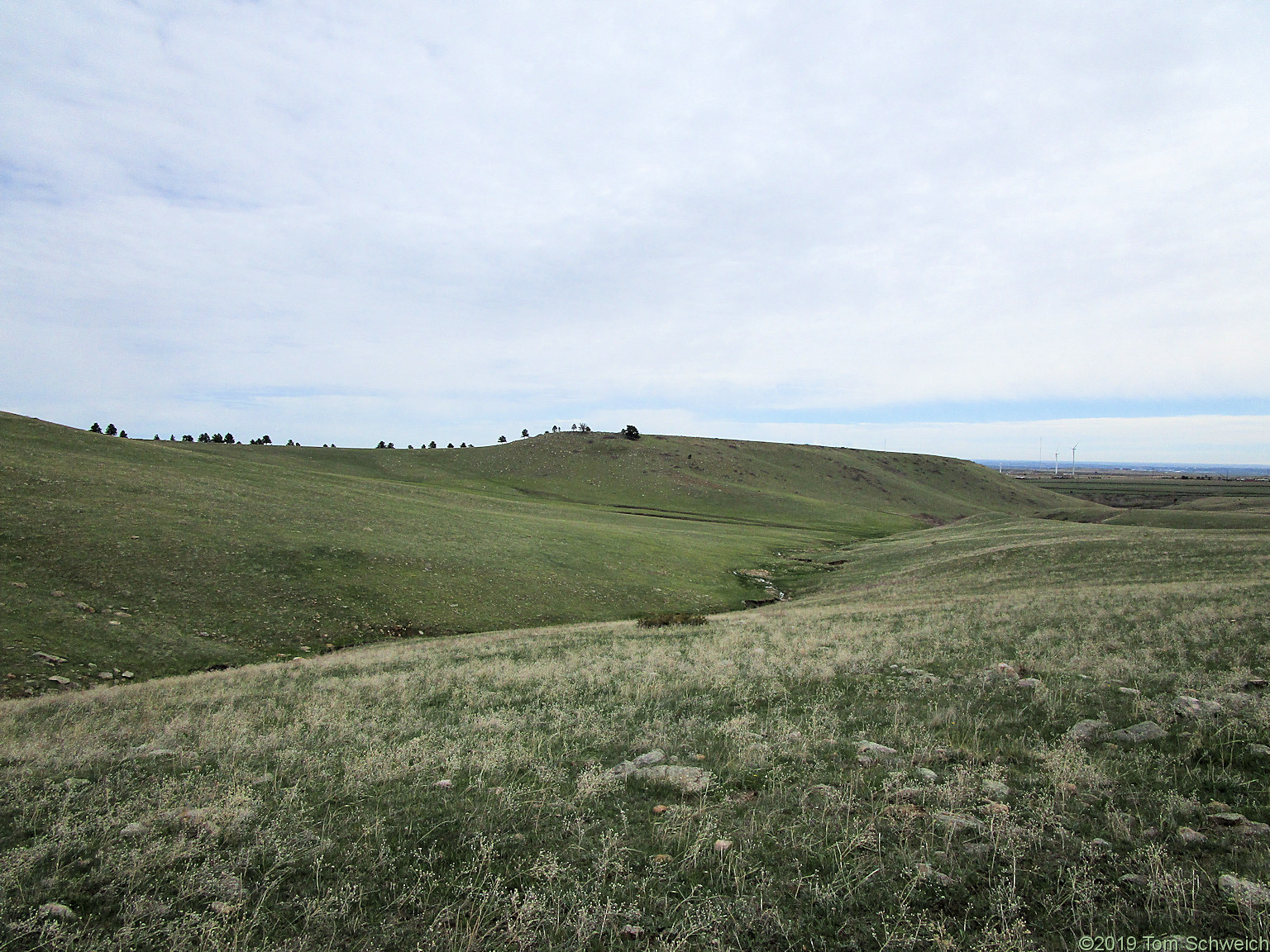 Colorado, Jefferson County, Lippincott Property