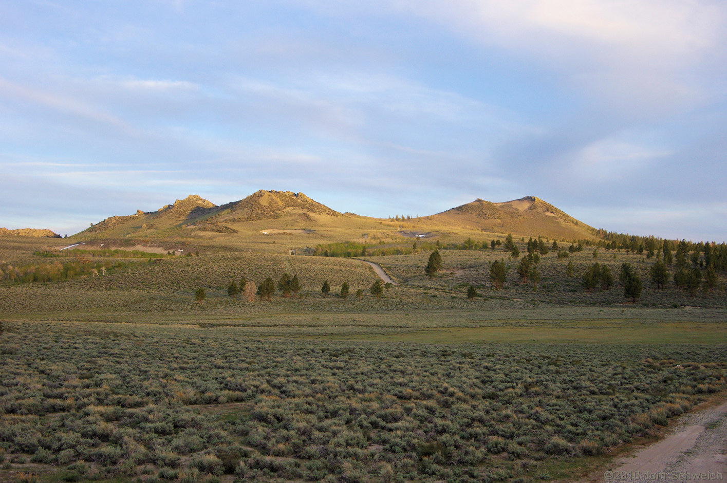 California, Mono County, Sagehen Meadow