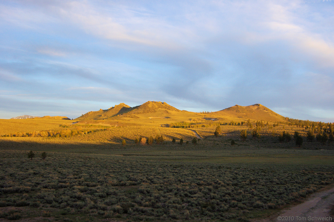 California, Mono County, Sagehen Meadow