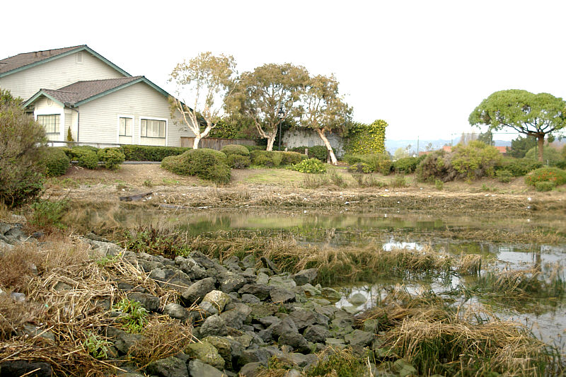 Small marsh at end of Washington Street.