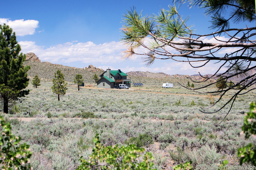 California, Mono County, Sagehen Meadow