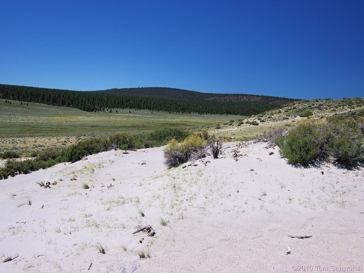 California, Mono County, Big Sand Flat