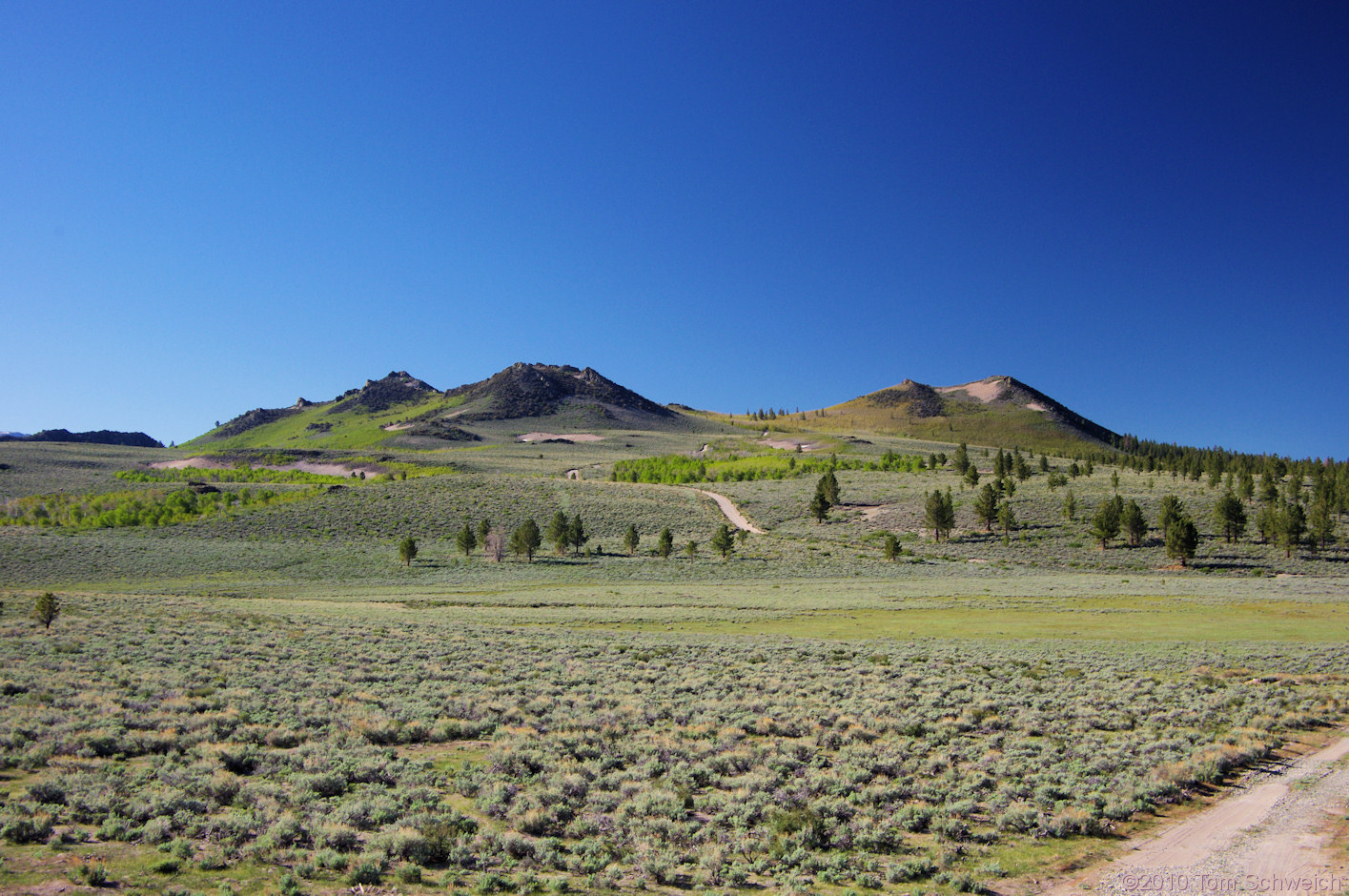 California, Mono County, Sagehen Meadow