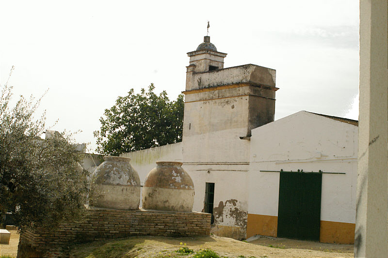 Hacienda Belen, Bormujos Olive Plant.