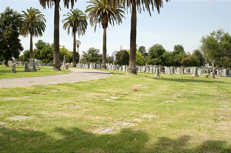 View of Evergreen Cemetery, Graves of Anna and Peter Pawluk in Foreground.