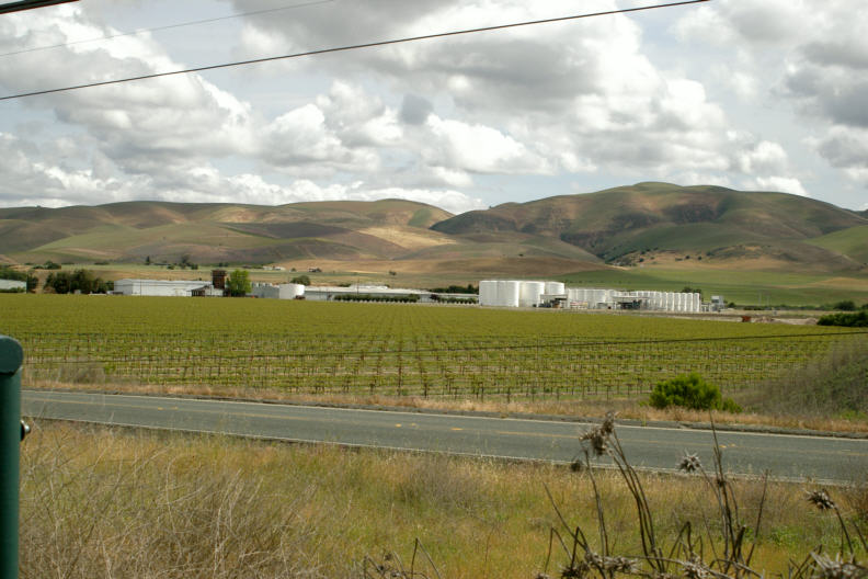 Paicines Winery