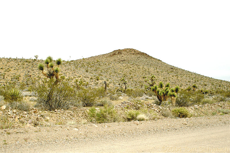 Winters Pass Hills near Kingston Road