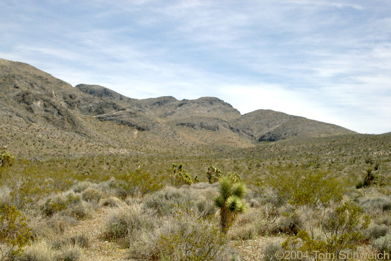 View south from Winters Pass