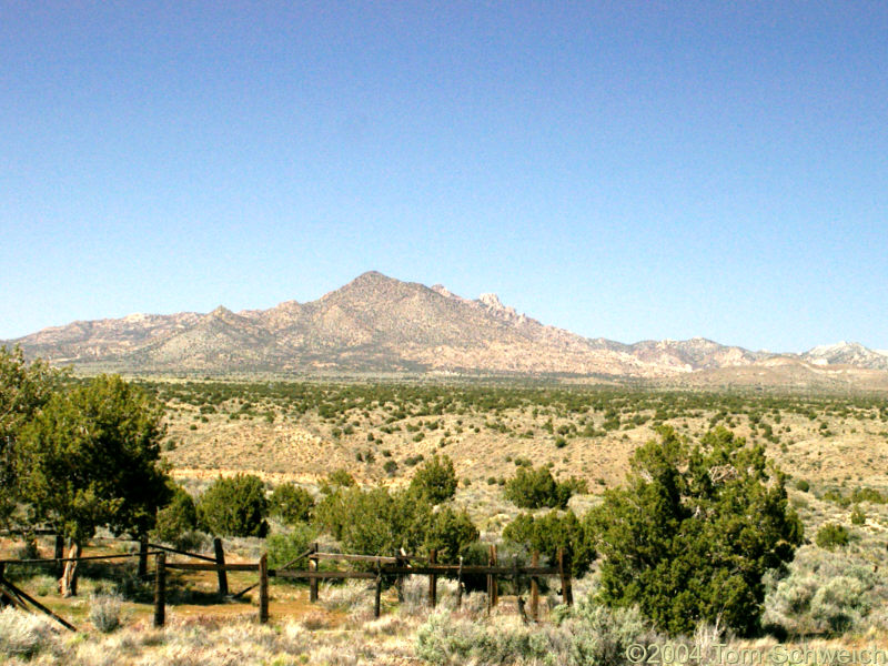 New York Mountains as seen from Bert Smith Rock House at Rock Spring