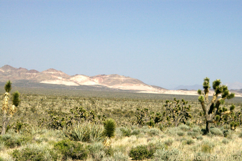 Castle Mountains Mine as seen from Ivanpah Road