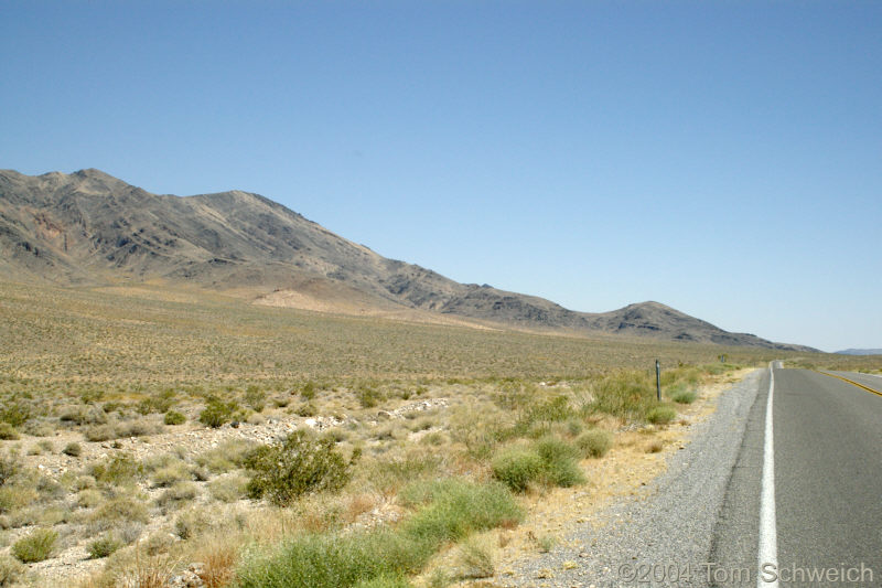 Chicago Valley and the Resting Spring Range, looking north.