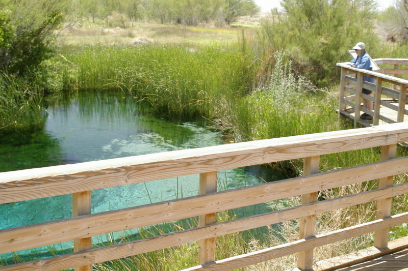 Crystal Spring at Ash Meadows NWR.