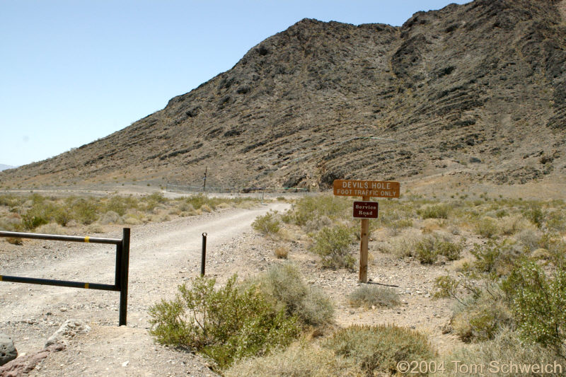 Entrance Road to Devil's Hole.