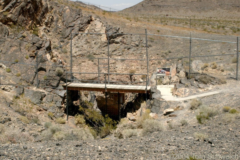 A boardwalk has been installed to permit viewing of Devil's Hole.