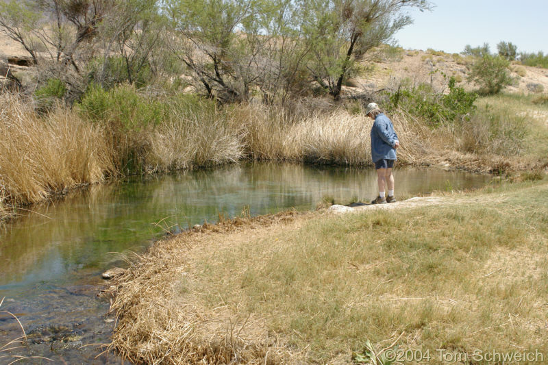 Point of Rocks Spring