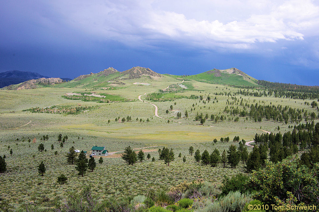 California, Mono County, Sagehen Meadow