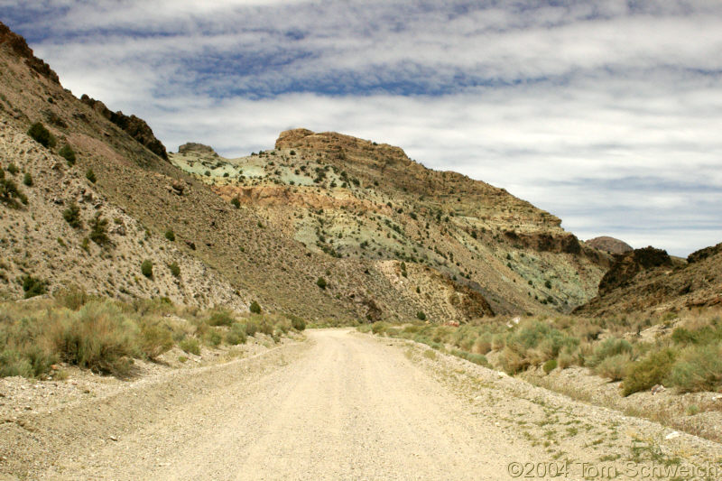 Location in Silver Peak Range.