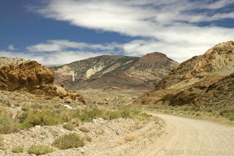 Rhyolite Ridge as seen from the west.