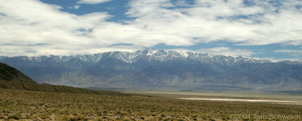 Fish Lake Valley and the White Mountains