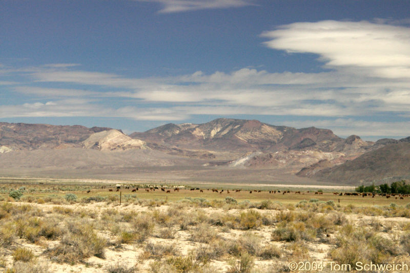 Piper Peak in the Silver Peak Range