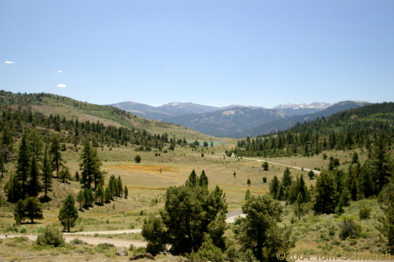 Sagehen Flat and Heenan Lake, looking south.