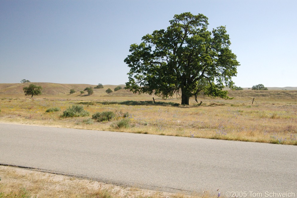 Shell Creek, San Luis Obispo County, California