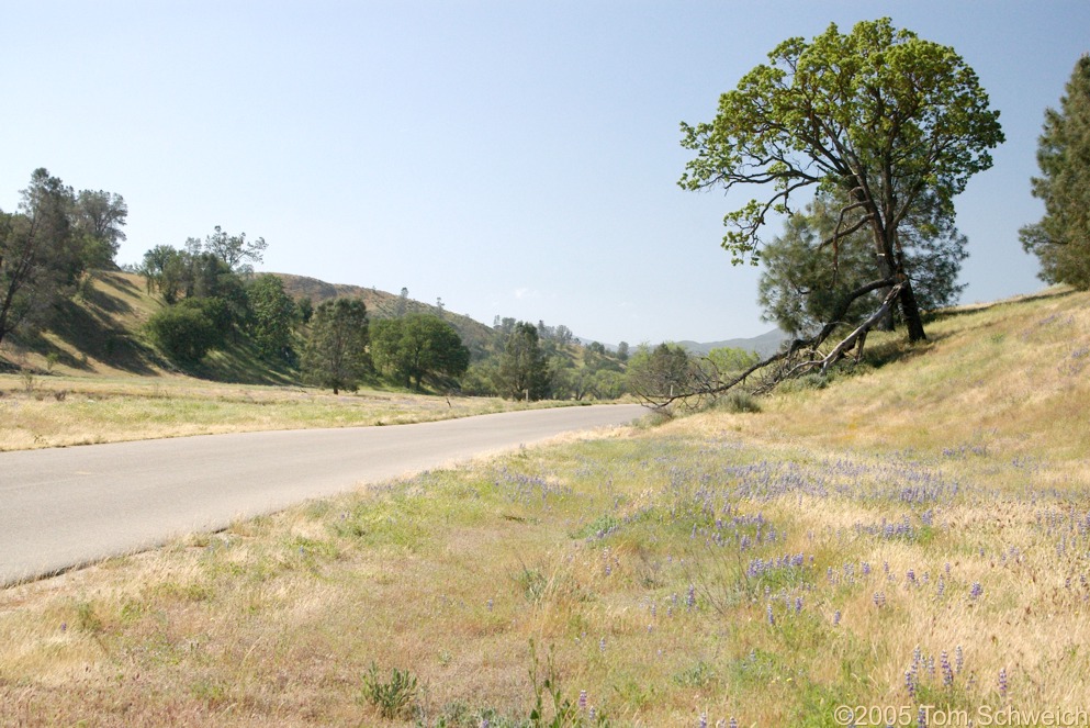 Shell Creek, San Luis Obispo County, California