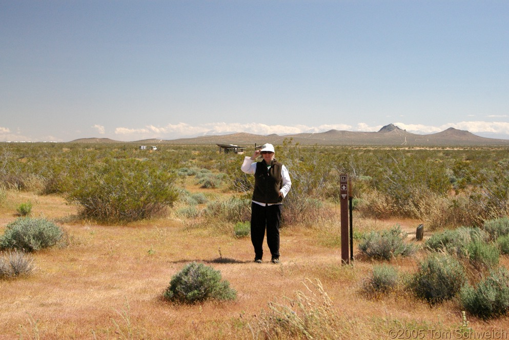 Desert Tortoise Natural Area, Kern County, California