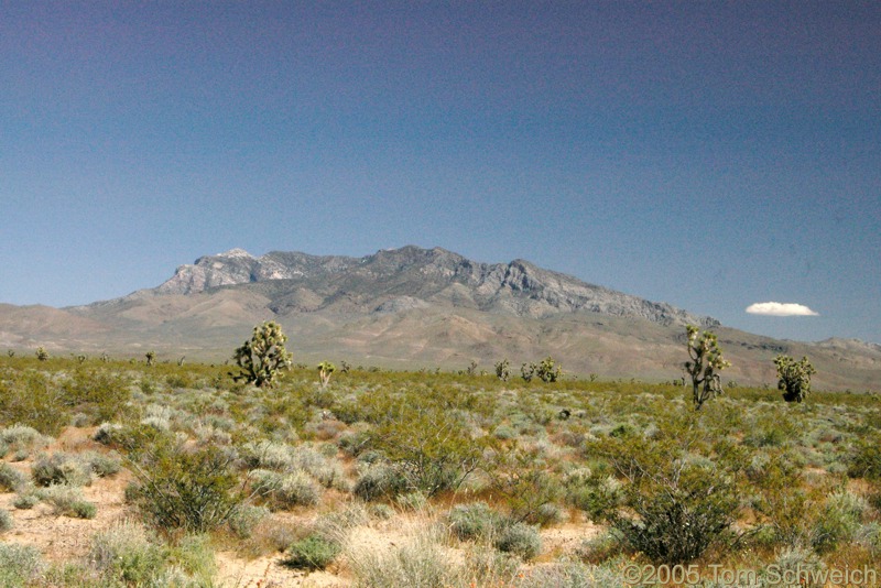 Clark Mountain, San Bernardino County, California