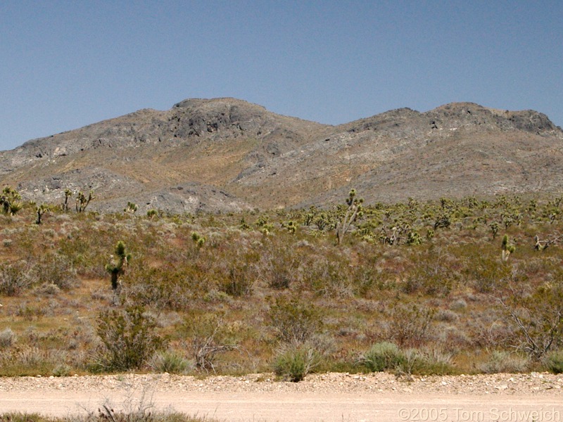 Mesquite Mountains, San Bernardino County, California