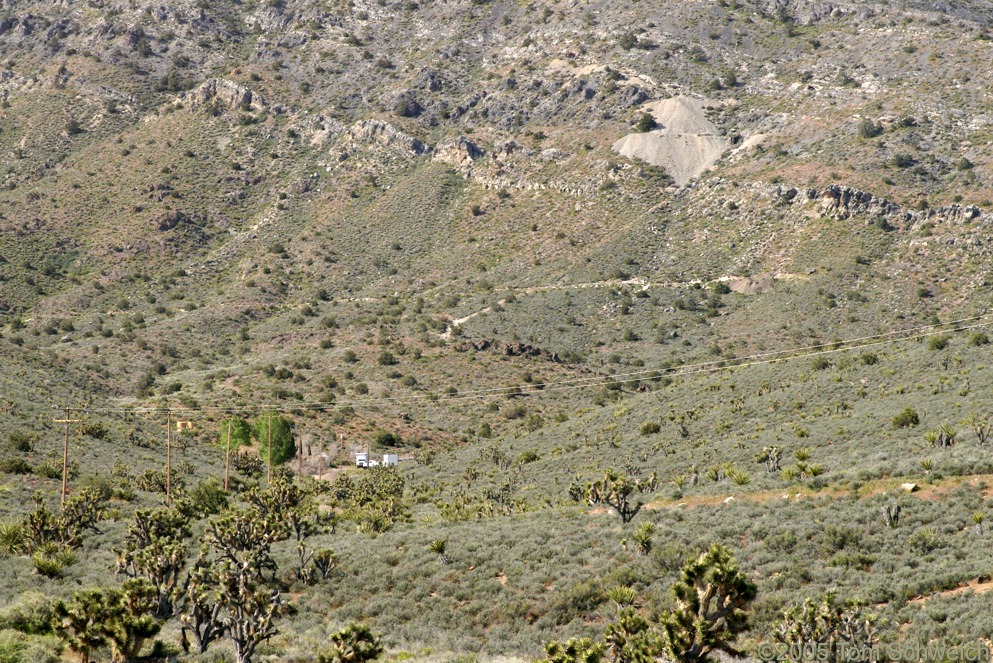 Mollusk Mine, Mescal Range, San Bernardino County, California