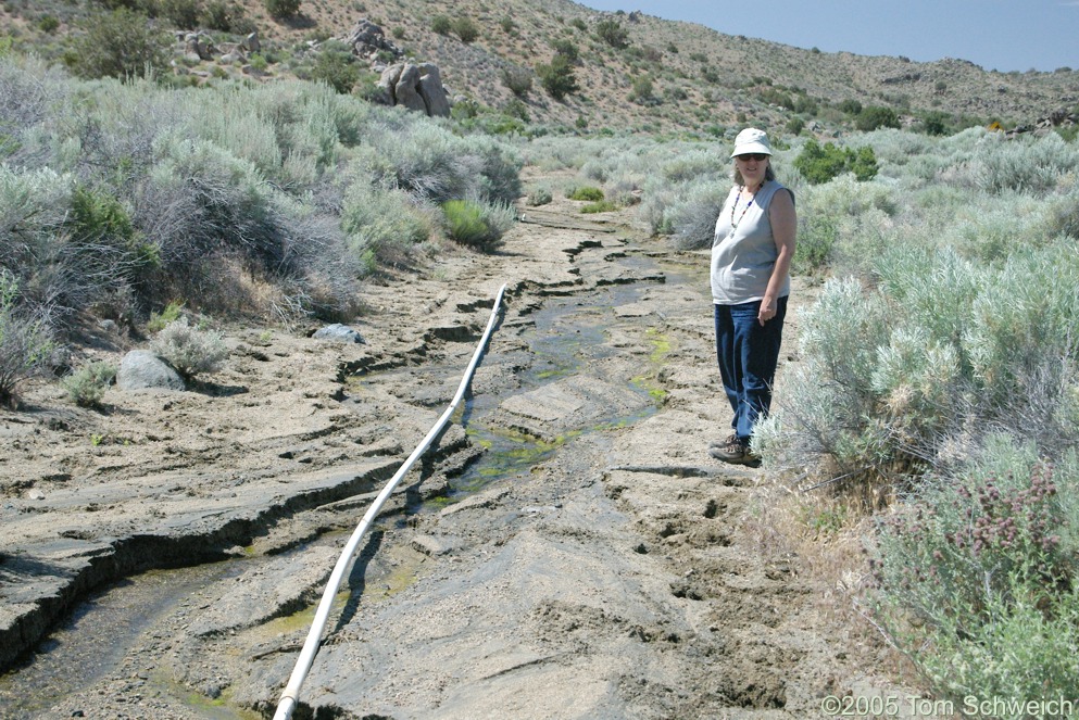 Black Canyon, Mojave National Preserve, San Bernardino County, California