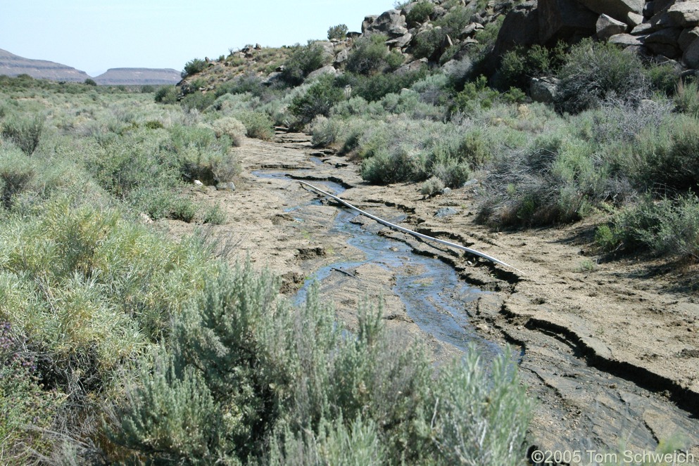 Black Canyon, Mojave National Preserve, San Bernardino County, California