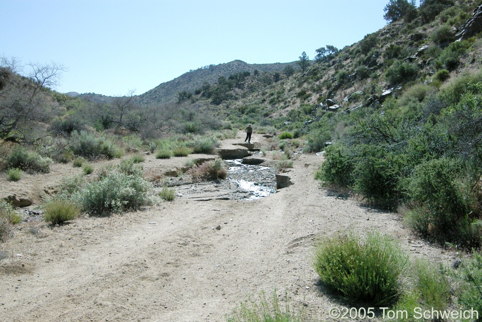 Macedonia Canyon, Mojave National Preserve, San Bernardino County, California