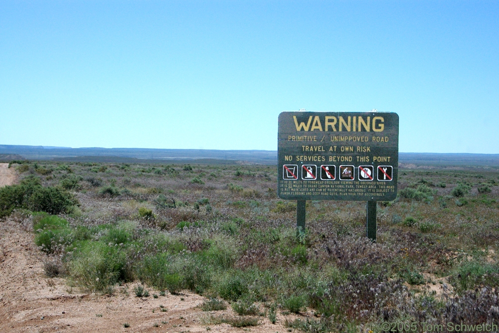 Kaibab Plateau, Mohave County, Arizona