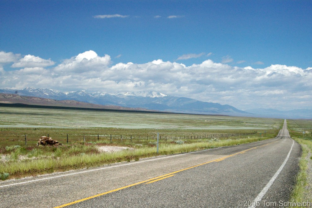 Snake Range, White Pine County, Nevada