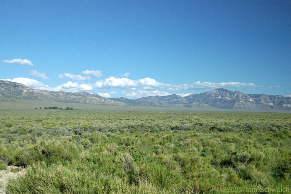 White Horse Pasture, Egan Range, Nye County, Lincoln County, Nevada