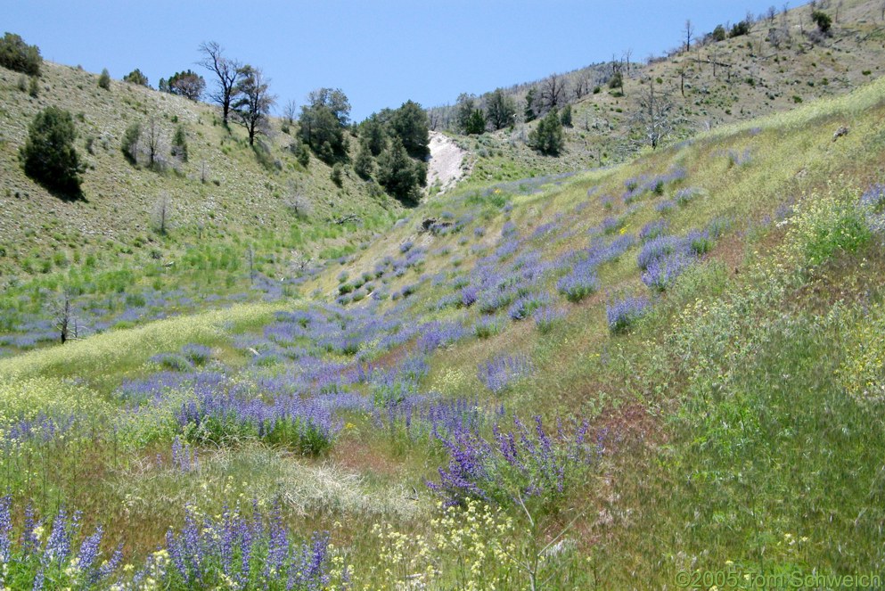 Fairview Peak, Earthquake Fault, Churchill County, Nevada