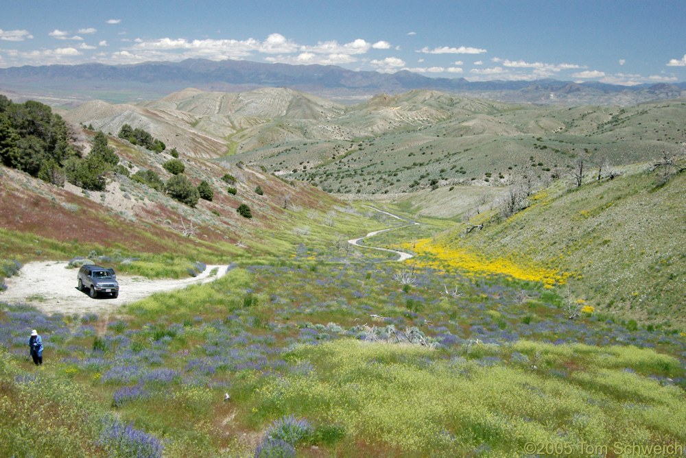 Fairview Peak, Earthquake Fault, Churchill County, Nevada