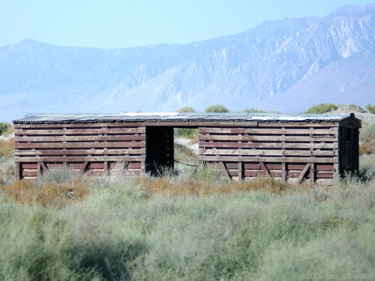 Stock Car, Swansea, Inyo County, California