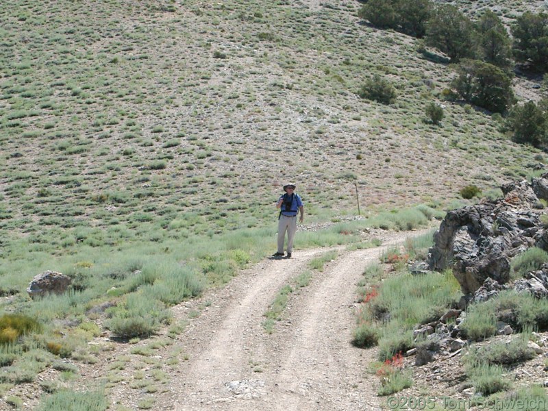 Cerro Gordo, Inyo County, California