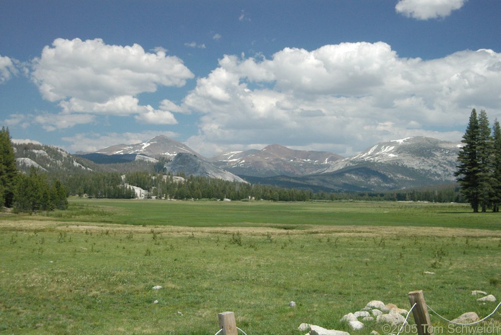 Tuolumne Meadows, Tuolomne County, California.