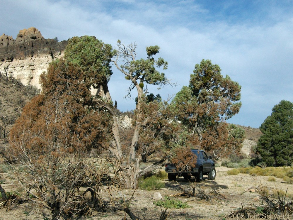 Hackberry Complex Fire, Lobo Point, Mojave National Preserve, San Bernardino, California