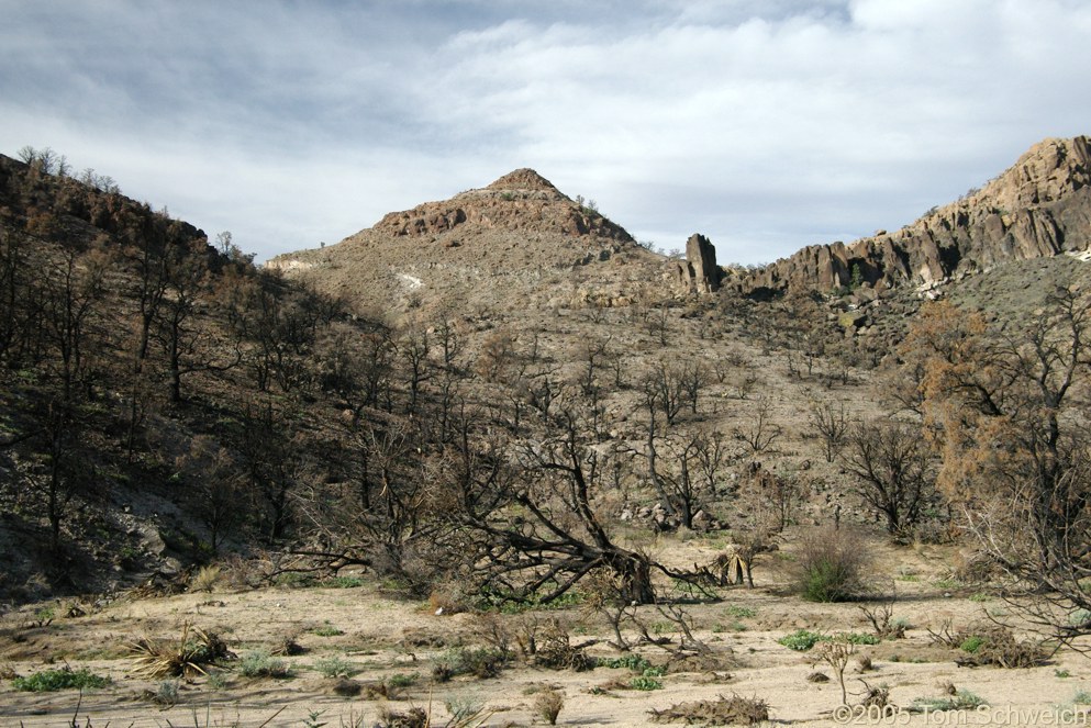 Hackberry Complex Fire, Lobo Point, Mojave National Preserve, San Bernardino, California