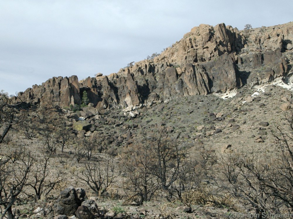 Hackberry Complex Fire, Lobo Point, Mojave National Preserve, San Bernardino, California