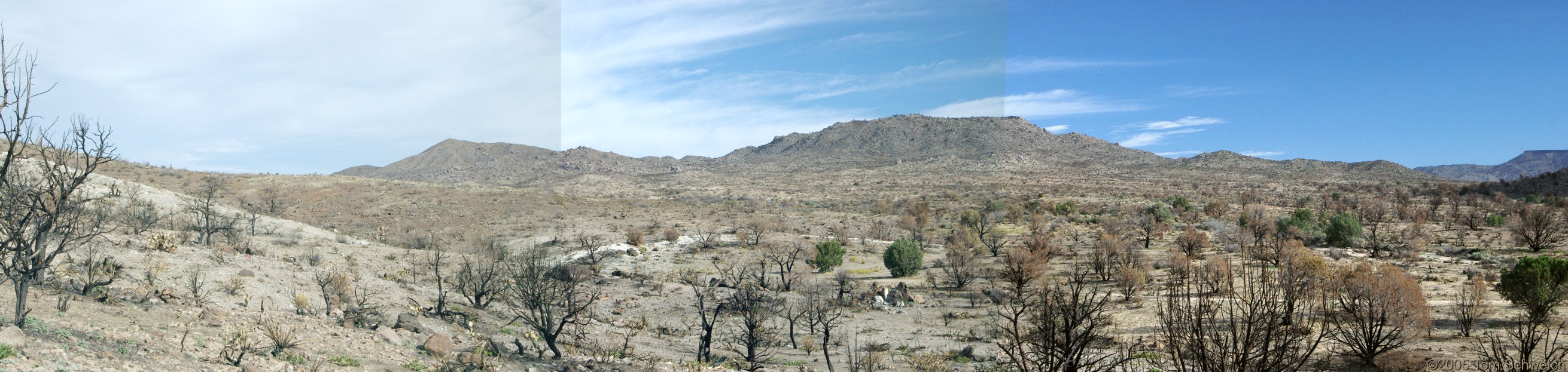 Hackberry Complex Fire, Lobo Point, Mojave National Preserve, San Bernardino, California