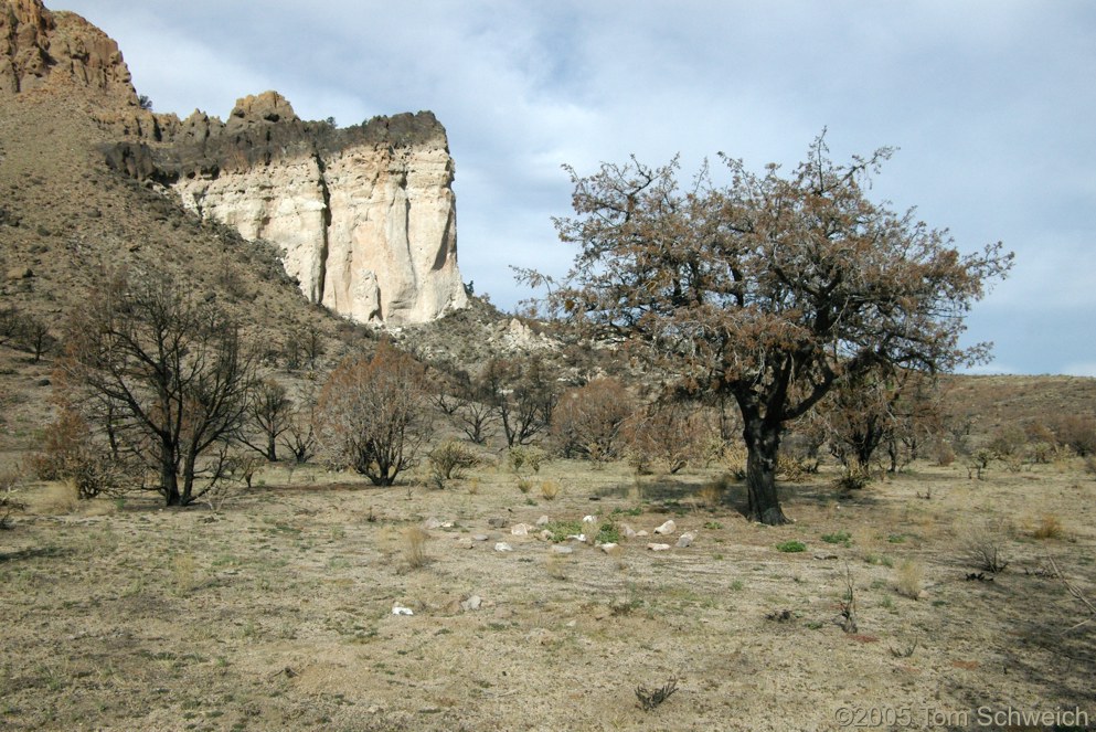 Hackberry Complex Fire, Lobo Point, Mojave National Preserve, San Bernardino, California