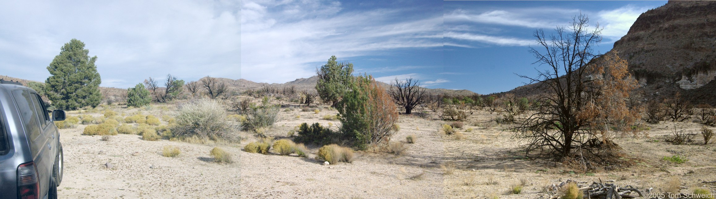 Hackberry Complex Fire, Lobo Point, Mojave National Preserve, San Bernardino, California