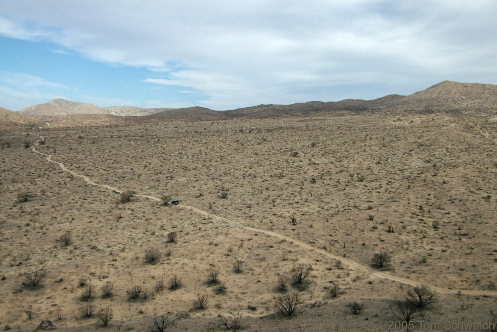 Hackberry Complex Fire, Lobo Point, Mojave National Preserve, San Bernardino, California