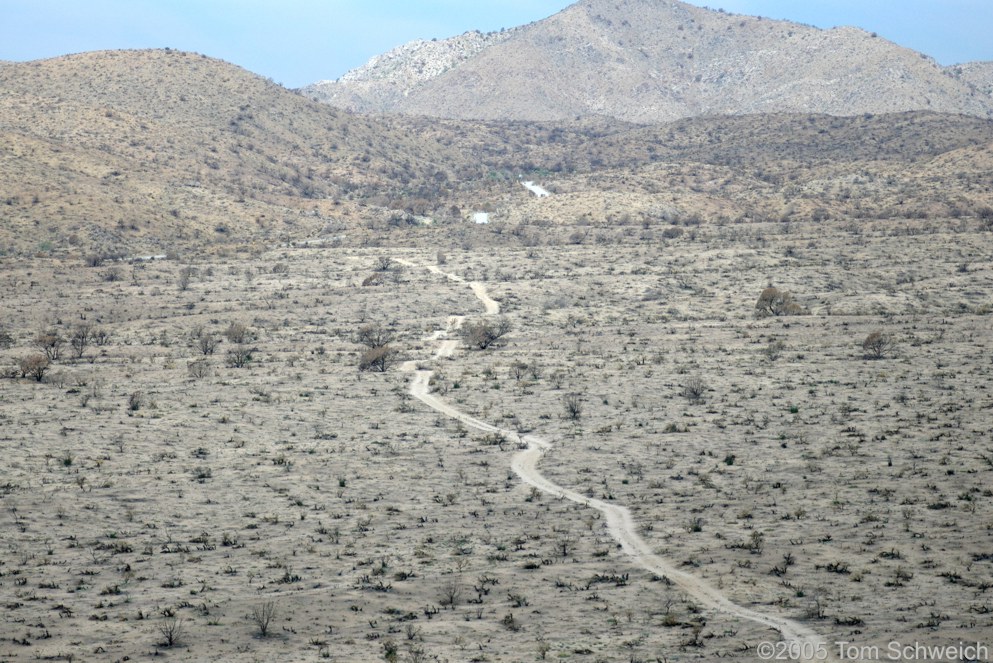 Hackberry Complex Fire, Wild Horse Canyon, Mojave National Preserve, San Bernardino, California